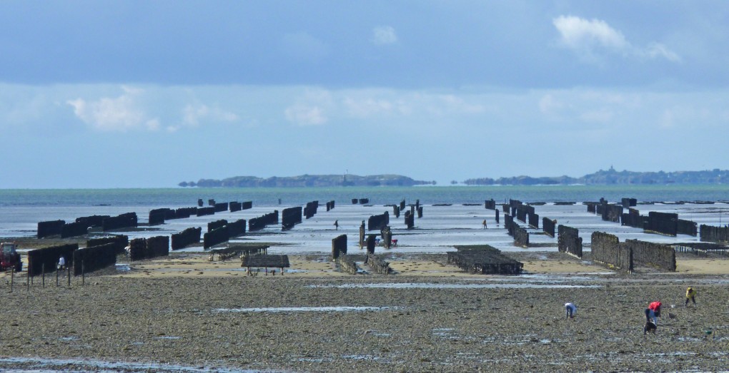 La plage de Donville, à marée basse, grand coefficient, les îles Chausey